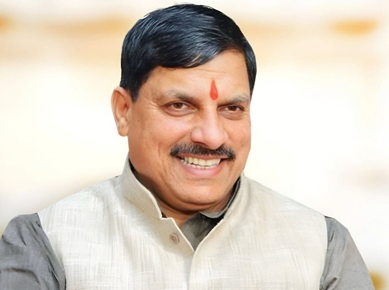 IMGDonec metus orci, malesuada et lectus vitae