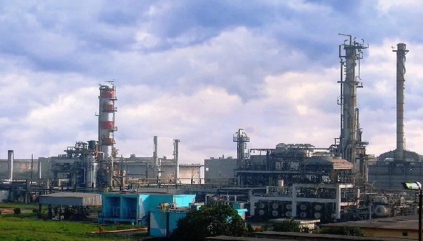 IMGDonec metus orci, malesuada et lectus vitae