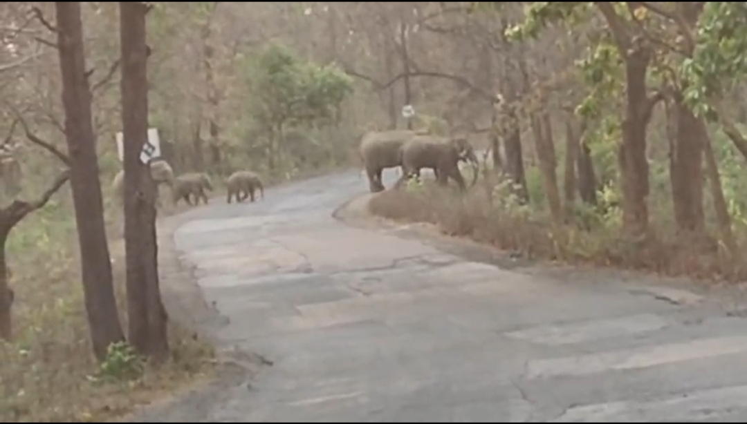 IMGDonec metus orci, malesuada et lectus vitae